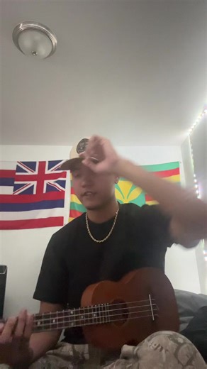 Hawaii Ukulele Melodies for You