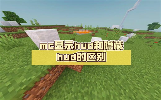 mc显示hud和隐藏hud的区别