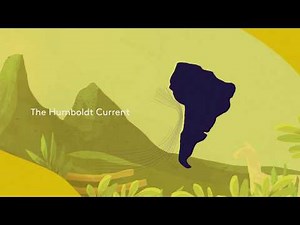 The Humboldt Upwelling System