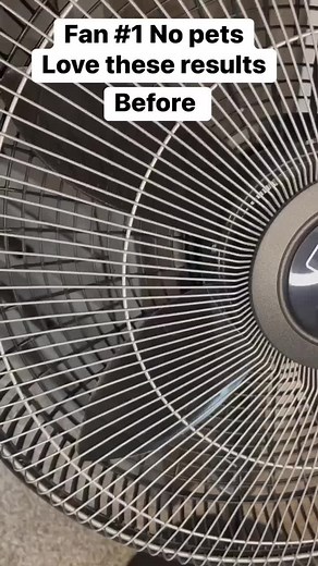 Effective Fan Cleaning Hacks: Try This TikTok Method!