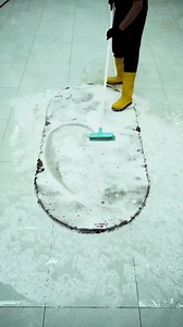 Dirty Carpet Cleaning Transformation | Brand New Shine