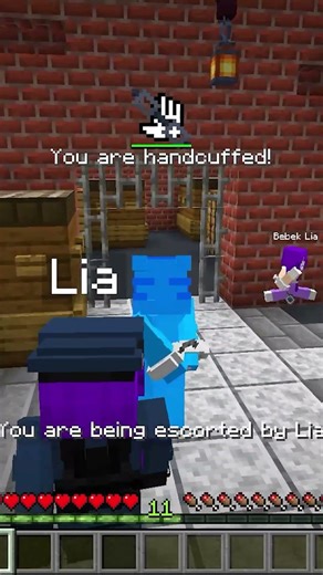 polis lia herkesi tutukladı #minecraft #oyun #gaming