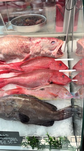 This is what REAL fresh looks like. Not frozen vibes. Not average. Just top-tier seafood. Only at MAKAI. Life’s a Catch! 🌊 #FreshSeafood #SanDiegoEats #SeafoodLovers #MakaiSeafood #LifesACatch
