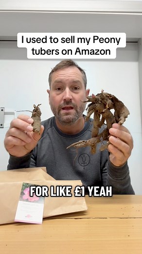 195K views · 4.2K reactions | I used to sell my Peony tubers on Amazon | Petite Peonys | Facebook