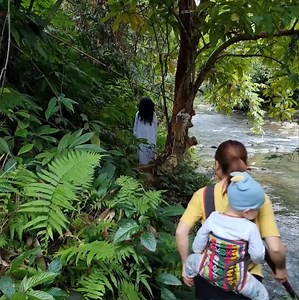 Single mother in danger in the deep forest Harvesting forest fruits to sell Building a new life | CR-Truck Action-cv