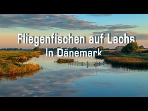 Fliegenfischen auf Lachs in Dänemark.