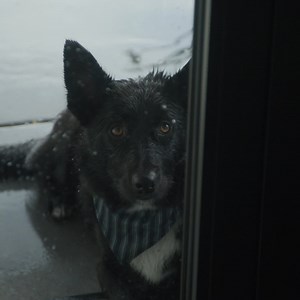 67 reactions · 6 comments | Build a home you love, with Versatile. | Versatile | Facebook