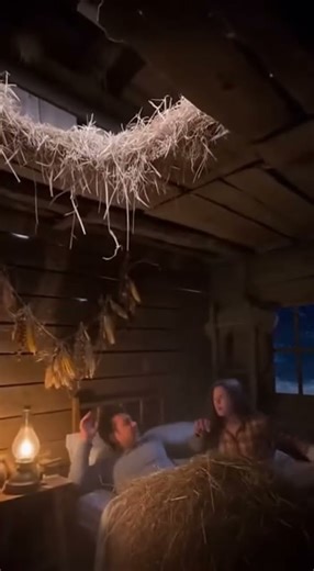 When the Ceiling Crashed Down with a 300-Pound Pig #wildlife