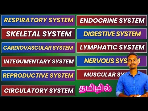 HUMAN ANATOMY & PHYSIOLOGY INTRODUCTION IN TAMIL