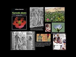 Psychedelics & Civilization, Light & Darkness | Graham Hancock | Psychedelic Society of Edinburgh