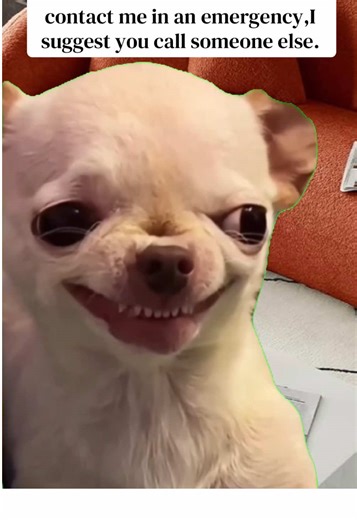 If my phone rings, I’ll probably think it’s an alarm and ignore it anyway🙈🫣#MemeCut #Meme #fyp #foryoupage #fypviralシ