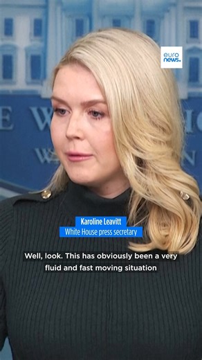 White House press secretary Karoline Leavitt put distance between President Donald Trump and ‘assassin’ rhetoric on Alex Pretti. | Euronews English
