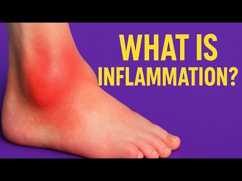 Inflammation Made Easy | Types, Stages & Mediators Explained | Introduction to Pathology