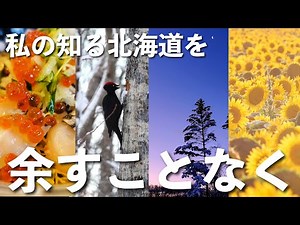 総集編【大自然 北海道 四季折々の魅力を伝えたい】春夏秋冬 野鳥 野生動物 絶景 グルメ 旅の記録
