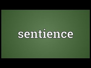 Sentience Meaning