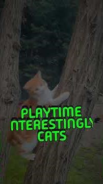 Why Do Cats Meow at Humans But Not Other Cats Cats are mysterious creatures and their...