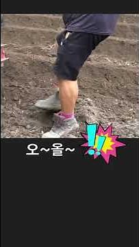 [먹두리삼형제의슬기로운시골생활] 배추 밭 사나이