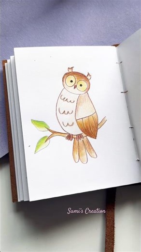 ✨✏️1-Minute Art | Try this Cute Owl Cartoon drawing🦉#shorts #art #drawing #diy #sketch #howtodraw