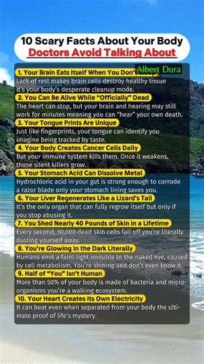 21K views · 127 reactions | 10 Scary Facts About Your Body Doctors Avoid Talking About 易 #scaryfacts #MindBlowingFacts #weirdscience #humanbody #psychologyfacts | Albert Dura | Facebook