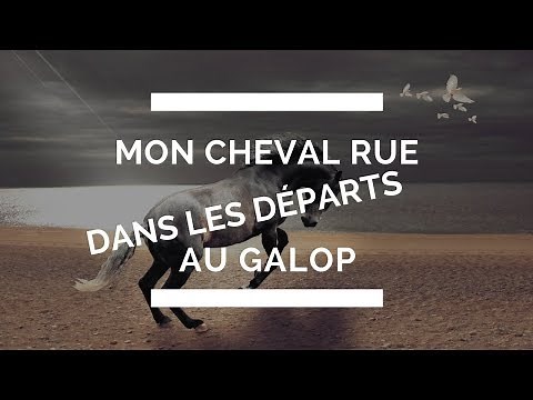 mon cheval RUE dans les départs au galop