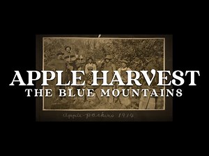 Apple Harvest | REEL History