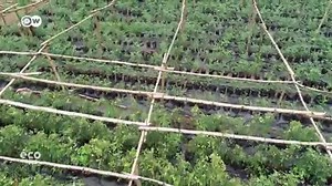 651K views · 6K reactions | Les drones ou l’ agriculture du futur. | Bolivar FM 99.4 MAMOU | Facebook