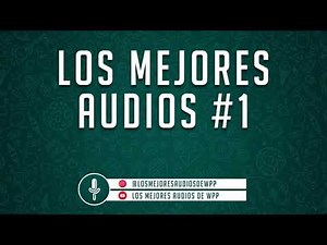 LOS MEJORES AUDIOS DE WHATSAPP - COMPILADO #1