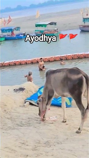 chalo chalo Ayodhya dham llllll #bhakti llllll #song llllll trending llllll video