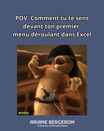 Toi devant ton premier menu déroulant Excel #humour #excel #googlesheets