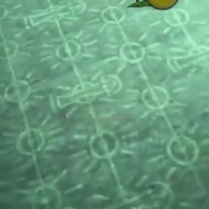 1.1K views · 19 reactions | Central Buzz Congo CBC on Reels | Facebook