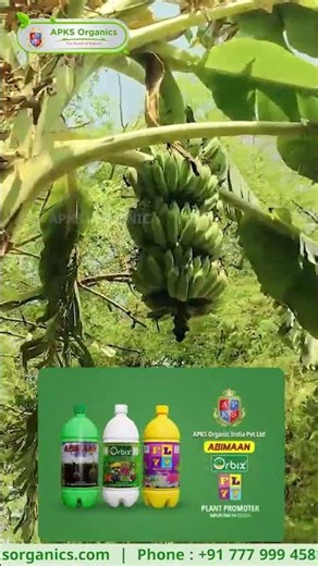 Our Online Banana Farmer Mr. Ranjithkumar share his Experience!