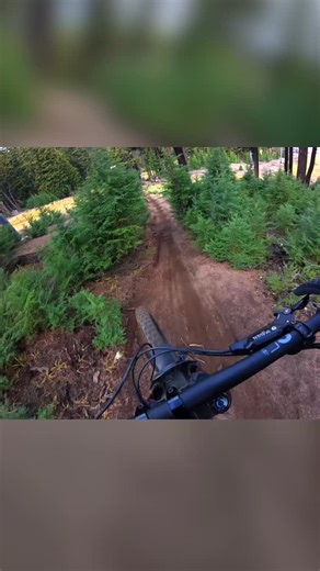 Loam Wolf 💀🐺💀 on Instagram: "The @canyon_mtb Sender long term review is out! This bike is almost impossible not to like.."