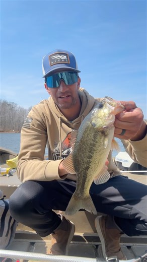 Post-front prespawn hack ⬇️Throw a flatside crankbait around secondary points! #bassfishing #trythis