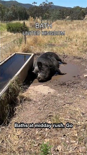 NOBODY BELIEVES THIS IS BATH 🤯 #shorts