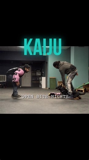 Looking for an outlet for your high play drive dog? Our bite club is focused on helping both ends of the leash progress together & learn how to handle your dogs while in drive. Play is such an important part of having a relationship with your dog, but it can be chaotic if you don’t know how to do it properly. Especially with a dog that LOVES to bite/ tug. Come hang out with a group of dog trainers aiming to strengthen the bond & skills of teams who are looking for a little more “umph” in their p