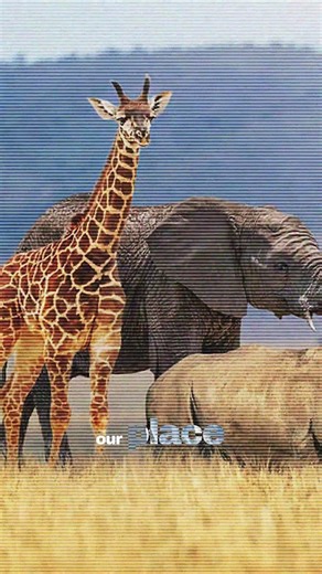 How Psychedelics Shaped Human Meaning