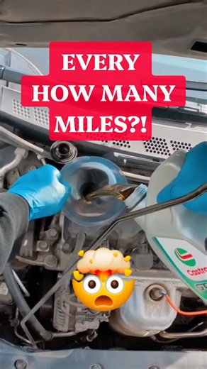 Honda Civic Oil Change Quicky 👍🏼 #pov #diy #satisfying #oilchange #maintenance #mechanic