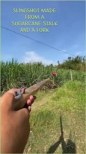 7.4K views · 56 reactions | The slingshot, a simple yet effective...
