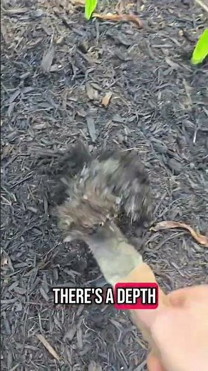 Why the Nisaku Hori Hori Knife is the Best Garden Tool in 2025