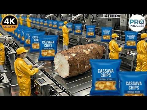 Inside the Cassava Factory – How Chips Makes From Cassava (Full Process) | D.J.S.A Cassava