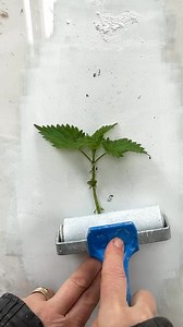 443K views · 5.1K reactions | Thank you for your feedback about the...