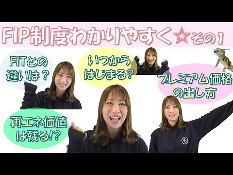 An easy-to-understand explanation of the FIP system ☆ Part 1
