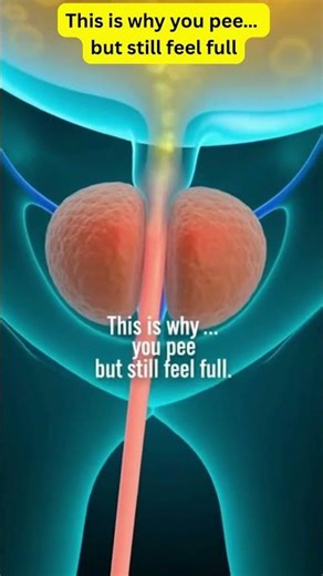 What Happens When the Prostate Blocks Urine Flow