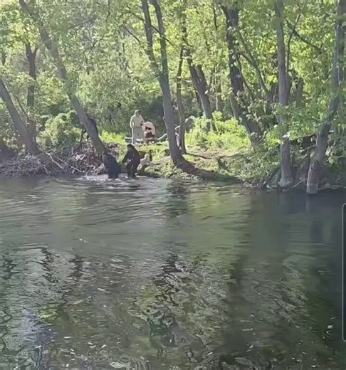 That’s an angry beaver!