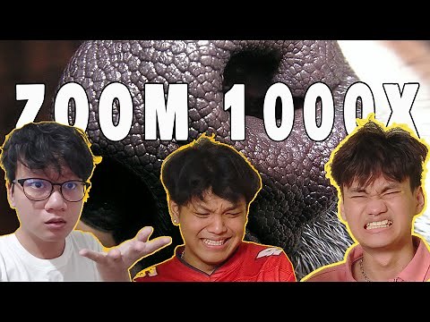 Tebak-Tebakan tapi gambarnya di Zoom 1000x