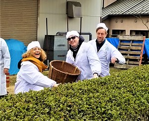 静岡DMOが実践する欧米市場向けマーケティング戦略。相手の心をつかむ海外メディア、旅行会社とのコミュニケーションのコツ（前編） | やまとごころ.jp