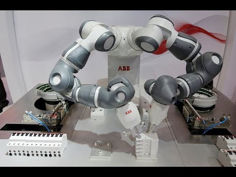 What will a future with robots look like?