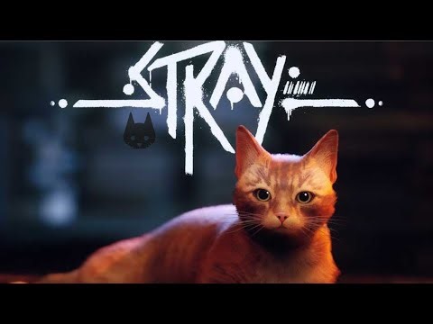 Stray – Full Game Walkthrough (4K HDR 60FPS | No Commentary | Complete Story)