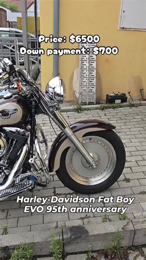 Harley-Davidson Fat Boy EVO 95th Anniversary for Sale