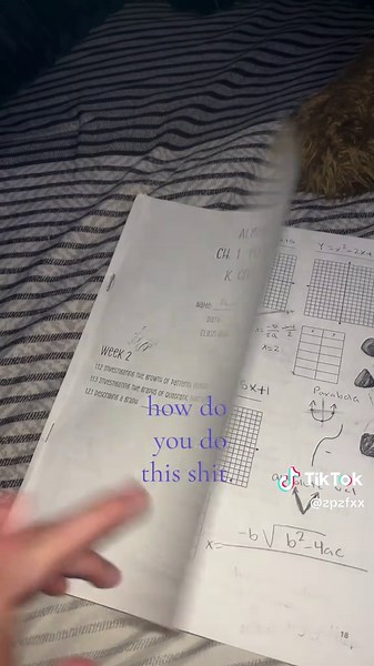 Understanding Algebra 1 for Freshmen Students